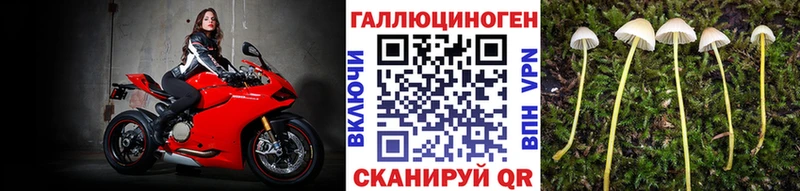 наркошоп  Бирск  Галлюциногенные грибы прущие грибы 